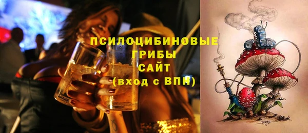 мдпв Балахна