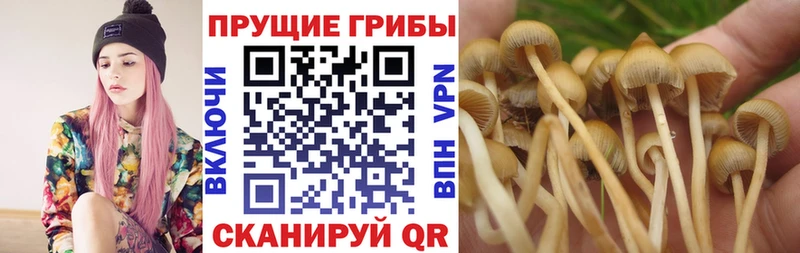 блэк спрут ССЫЛКА  Белоярский  Псилоцибиновые грибы прущие грибы  цена наркотик 